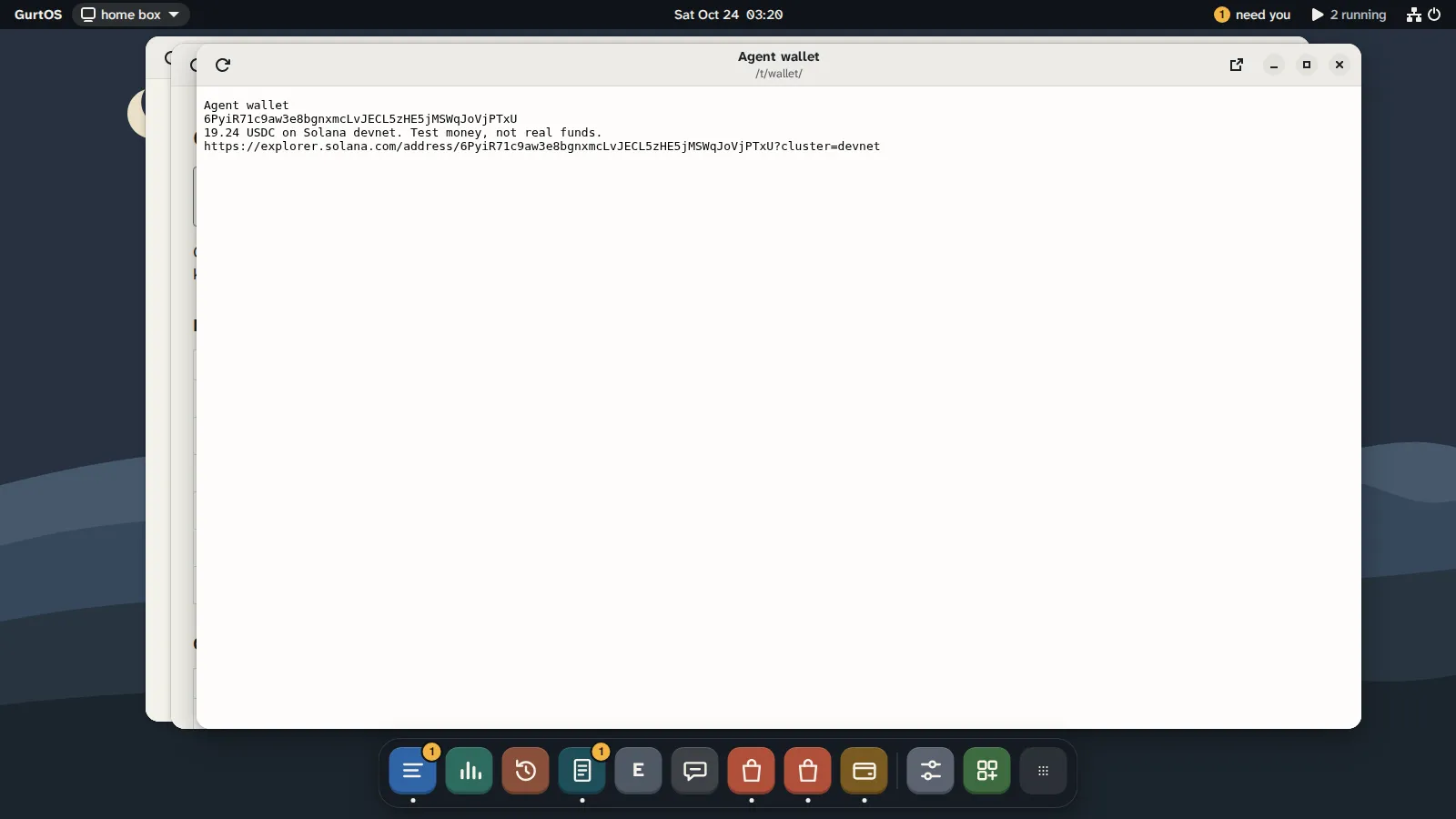 The Agent wallet app on the box screen, in plain text: the public devnet address, its USDC balance on Solana devnet marked test money, and a Solana Explorer link.
