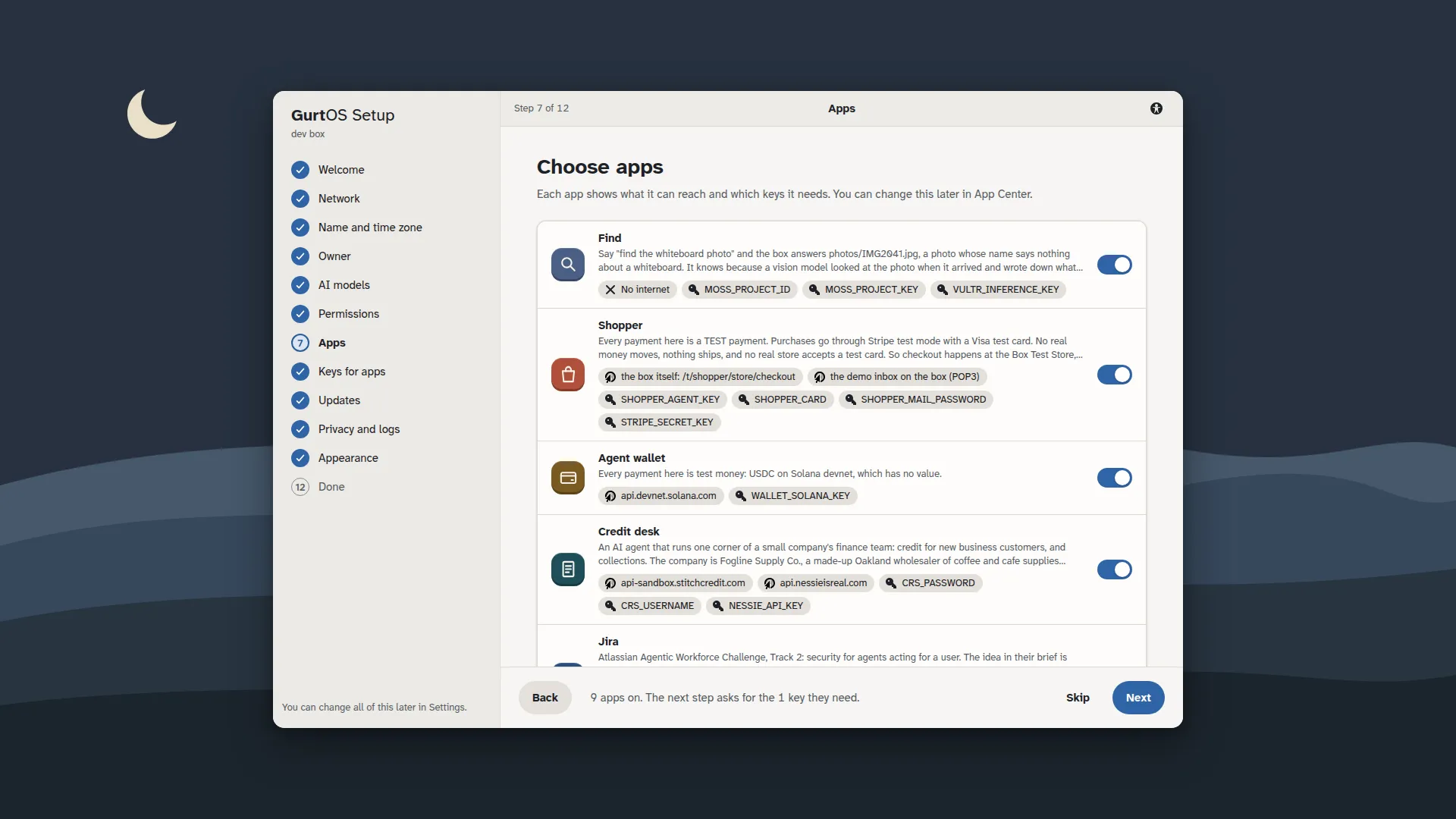 The running setup wizard, step 7, choose apps: each app lists the hosts it can reach and the keys it needs before you turn it on.